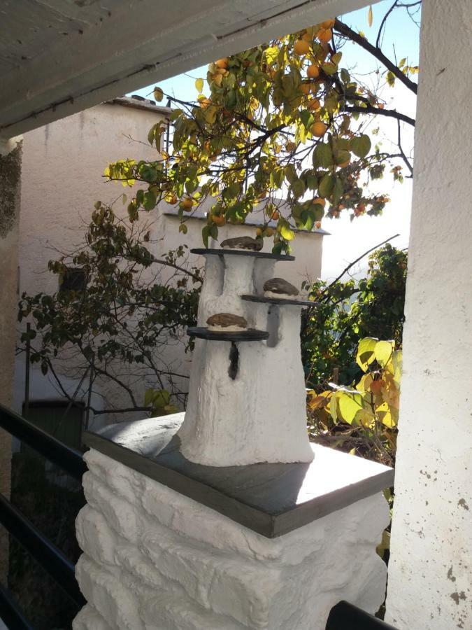 카피레이라 Casa Mirador De Maria 아파트 외부 사진